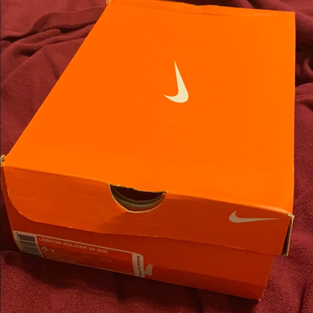 Lebron soldier xii (gs)